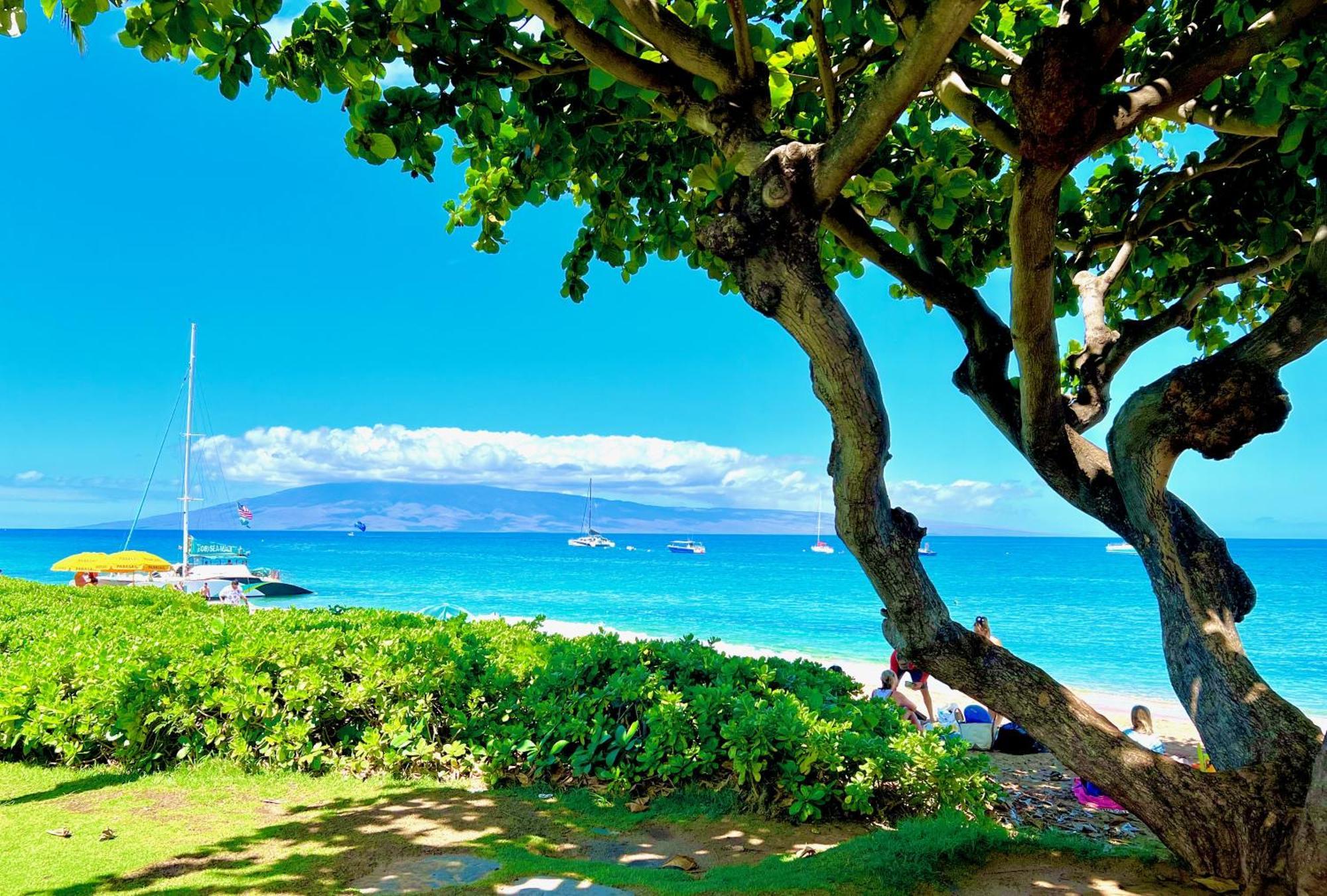 Kaanapali'S Royal Luxury Plantation Beach & Golf Estate Eksteriør bilde